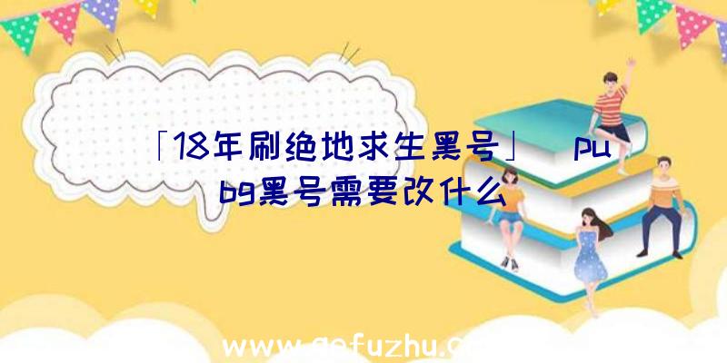 「18年刷绝地求生黑号」|pubg黑号需要改什么